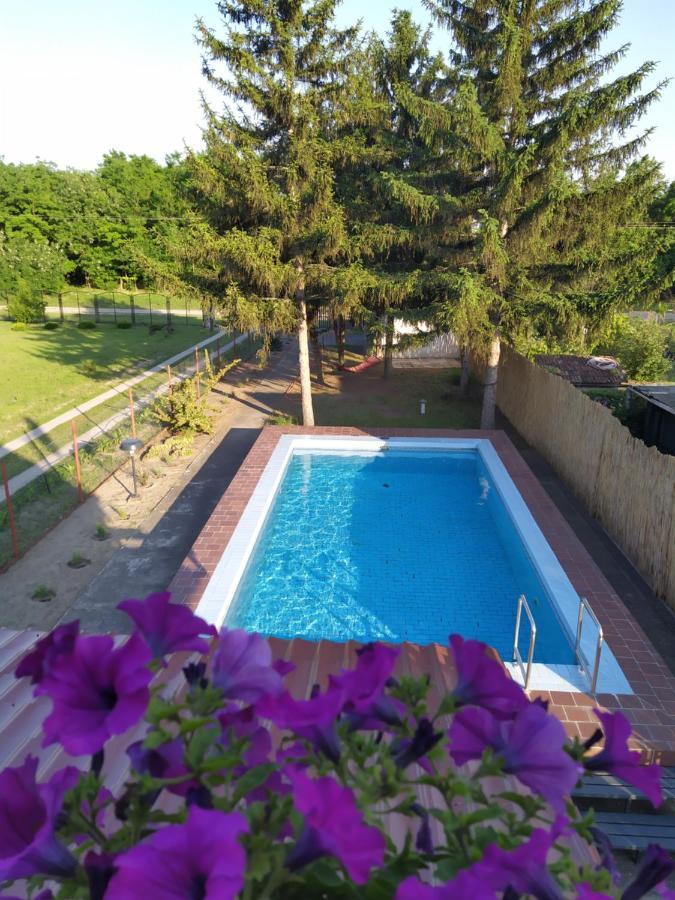 Blue Crystal Apartment Subotica Luaran gambar